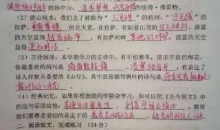 语文三年级下册期末怎么复习资料